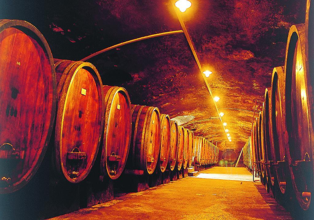 Апартаменты Weinstube Schwarzamsel Шпейер Экстерьер фото